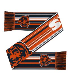 Chicago Bears Hyper Stripe Big Logo Scarf