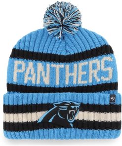Panthers 47 Brand Beanie