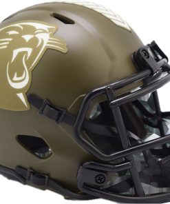 Panthers Full Size Replica Helmets