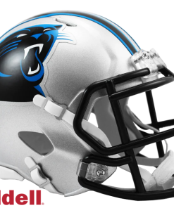 Panthers Riddell Mini Helmets