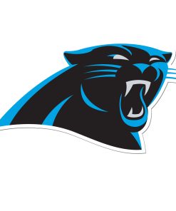 Carolina Panthers 8 Auto Decal