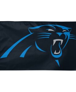 Carolina Panthers 3' x 5' Team Flag