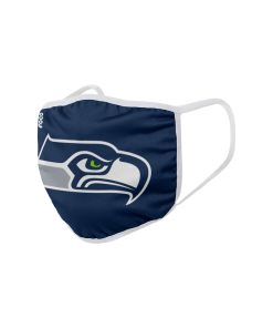 Seattle Seahawks Solid Big Logo Face Cover Mask