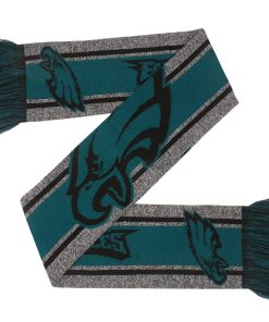 Philadelphia Eagles Gray Big Logo Scarf