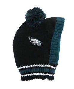 Philadelphia Eagles Team Pet Knit Hat - Large